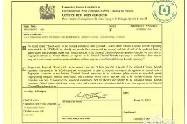 三明无犯罪记录翻译公司